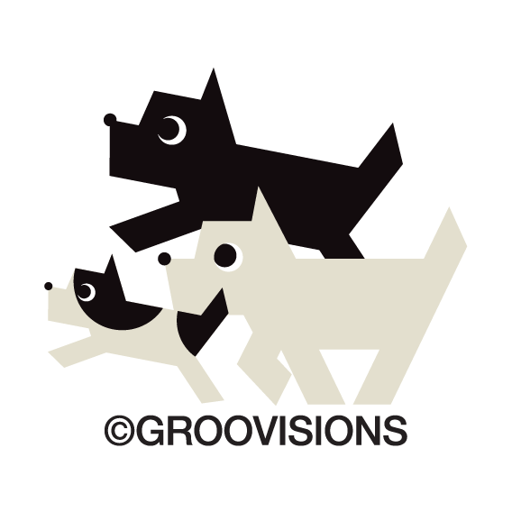 Description Groovisions