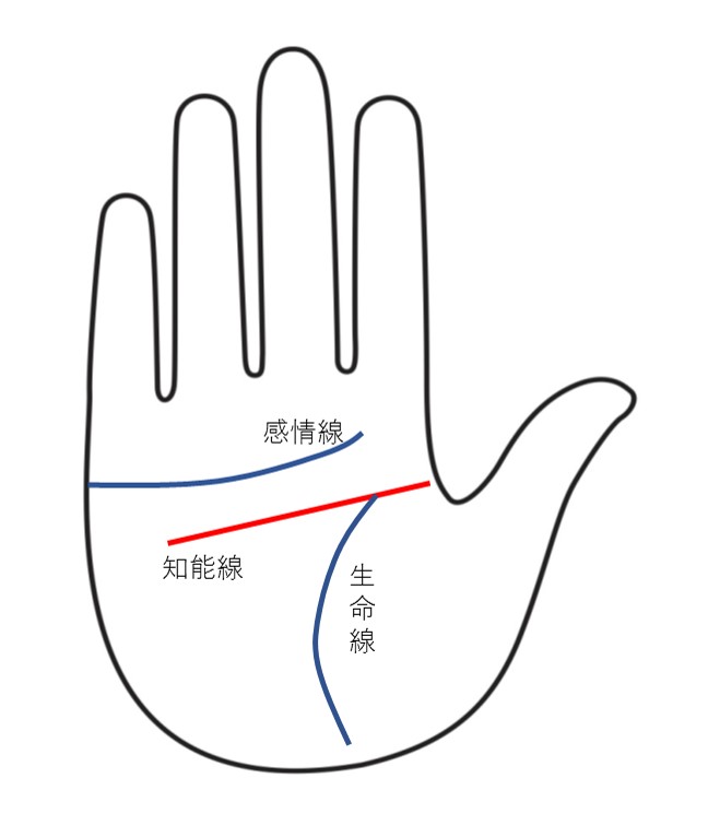 知能線（頭脳線）はこの赤い線です｜西日本シティ銀行（Go!Go!ワンク）