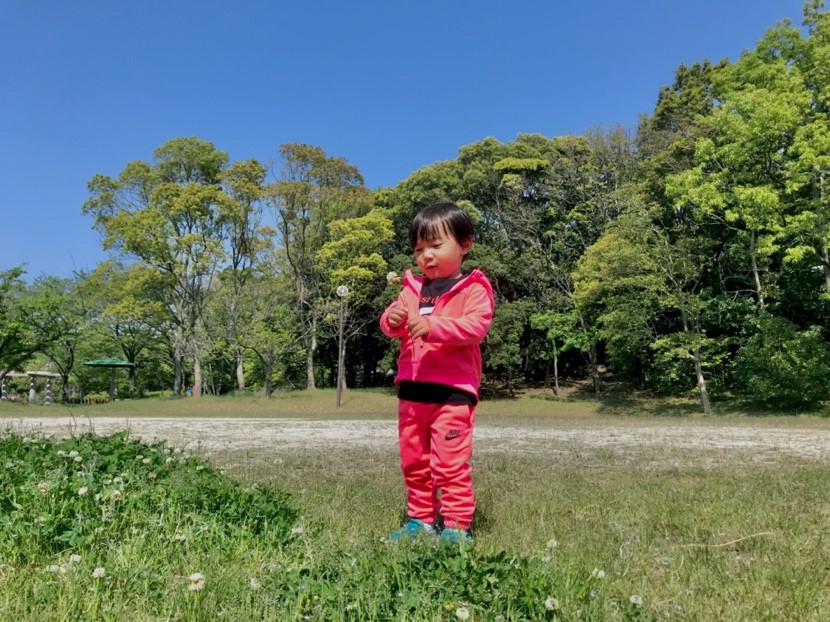 順光写真は全身入れて広めがいい