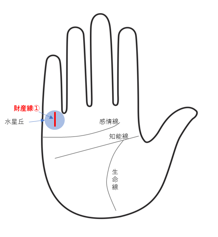 財運線（財産線）①：コツコツ貯める貯蓄型の人