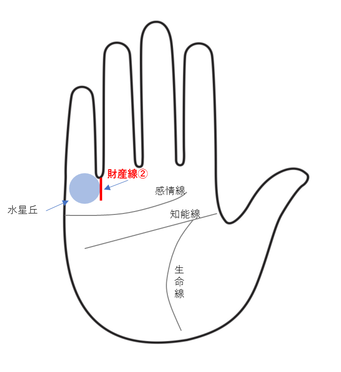 財運線（財産線）②：リスクをとってお金を増やすのが合っている人