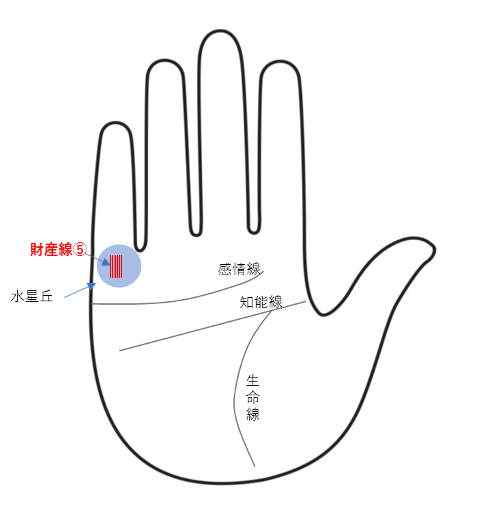 財運線（財産線）⑤：細かい三本以上の財運線は、無駄使いが多いときに現れる「散財線」