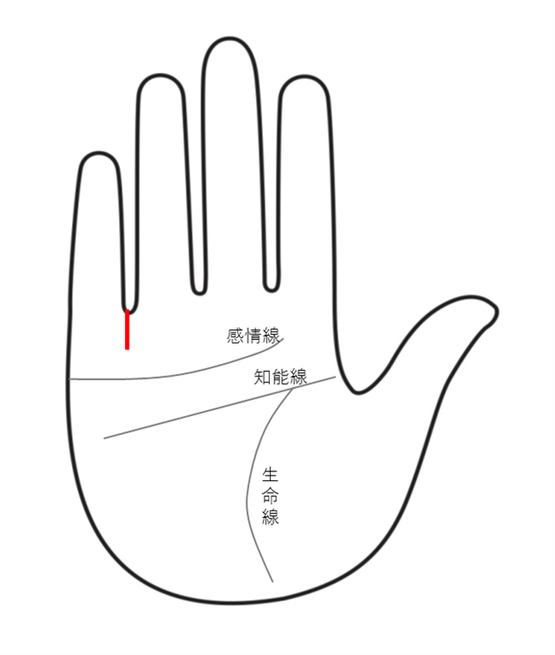 「投資」が好調なとき、手相に現れるラッキーサイン