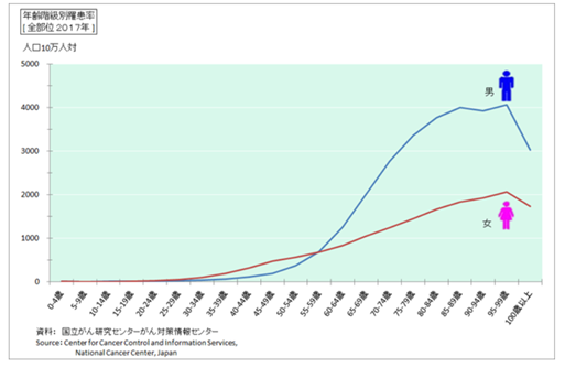 女性は早期加入がおすすめ