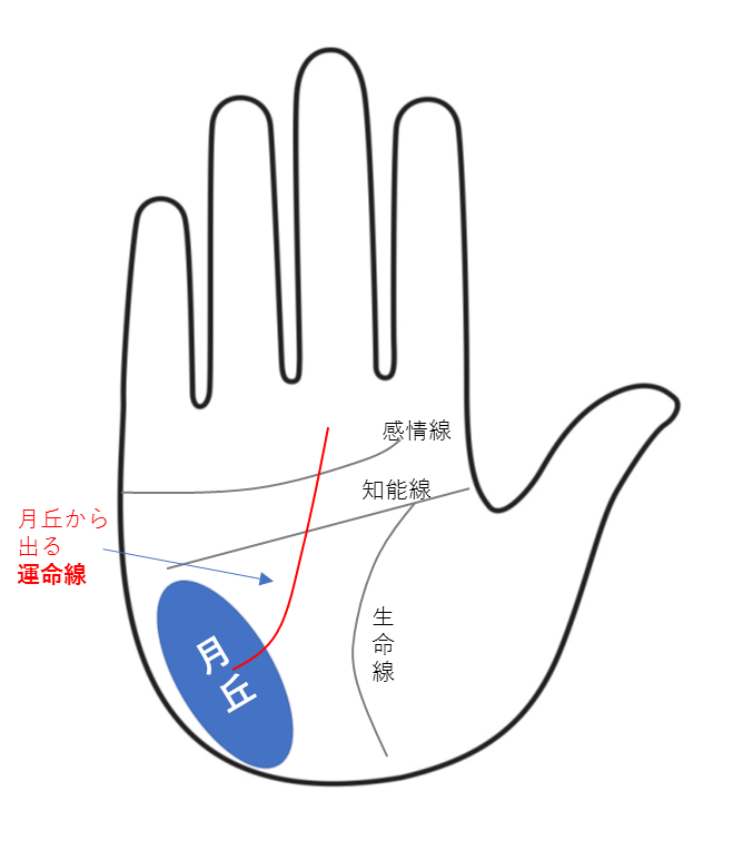 純正ますかけ線はココをチェック