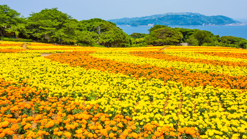 能古島（東区）