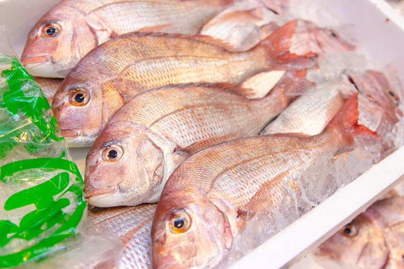 占部商店が販売するお魚詰め合わせセットに入っているかも?鯛の画像