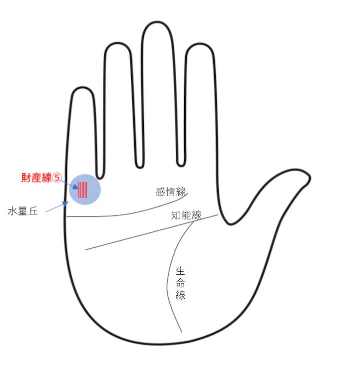 財運線(財産線)⑤:細かい三本以上の財運線は、無駄使いが多いときに現れる「散財線」の手相