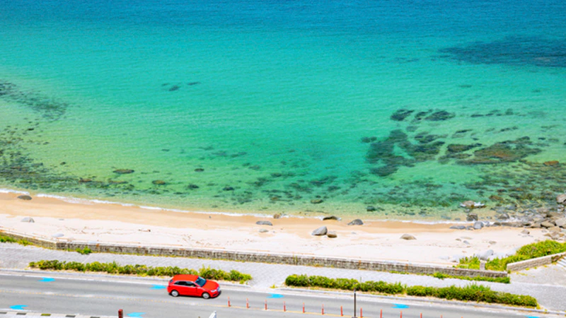 【2025年版】福岡で子どもと行く！初夏におすすめドライブコース3選（糸島・志賀島・太宰府）