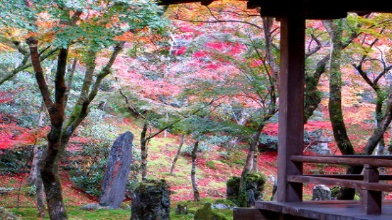 ▲出典:はまちゃんの山日記