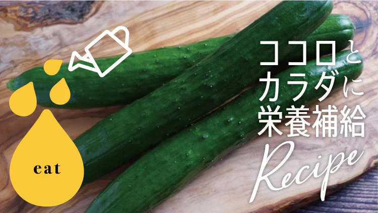 身体にこもった熱をとる！優秀な夏野菜・きゅうりレシピ３選で暑気払い