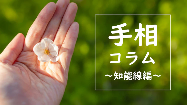 【手相】知能線でわかる！働くママが知っておきたい自分に合ったワークライフバランスのとり方